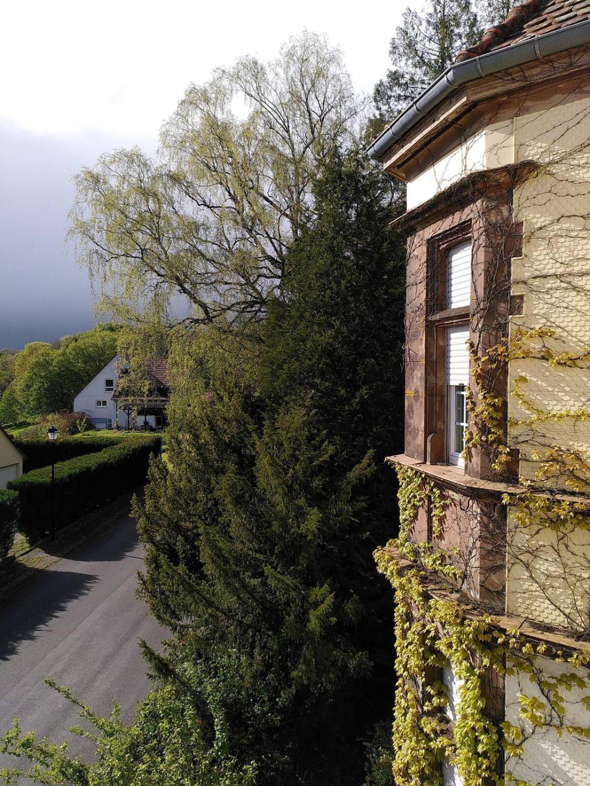 Chez Jeanne A La Villa Gruber La Petite-Pierre Exterior foto